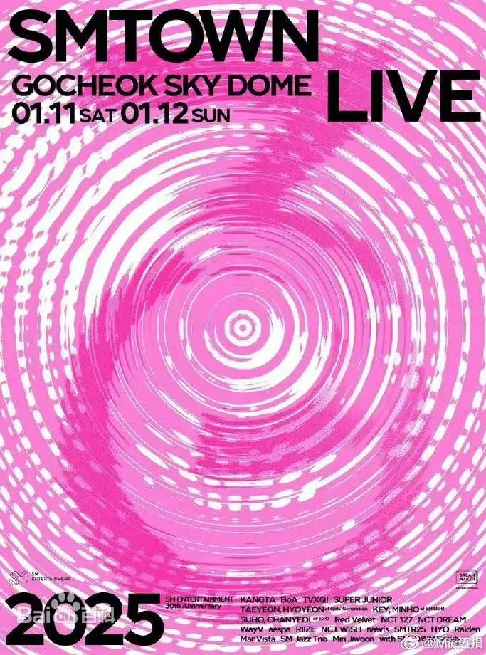 《SM家族演唱会2025》全集高清完整版在线观看与剧情解析