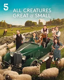 《万物生灵第六季》全集高清完整版在线观看与剧情解析