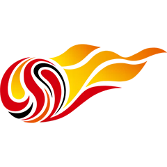 中超 天津津门虎vs大连英博海发20250816