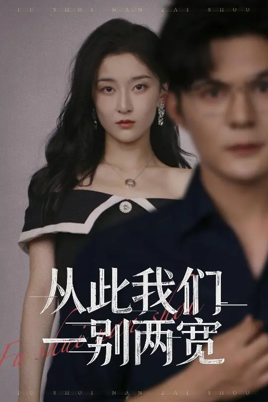 《从此我们一别两宽》全集高清完整版在线观看与剧情解析