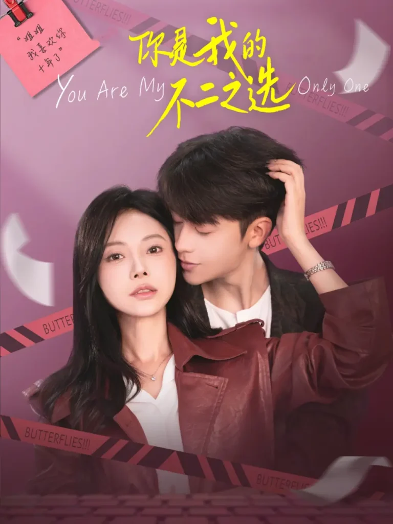 《你是我的不二之选》全集高清完整版在线观看与剧情解析