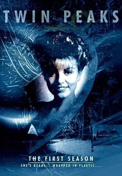 《双峰第一季》全集高清完整版在线观看与剧情解析