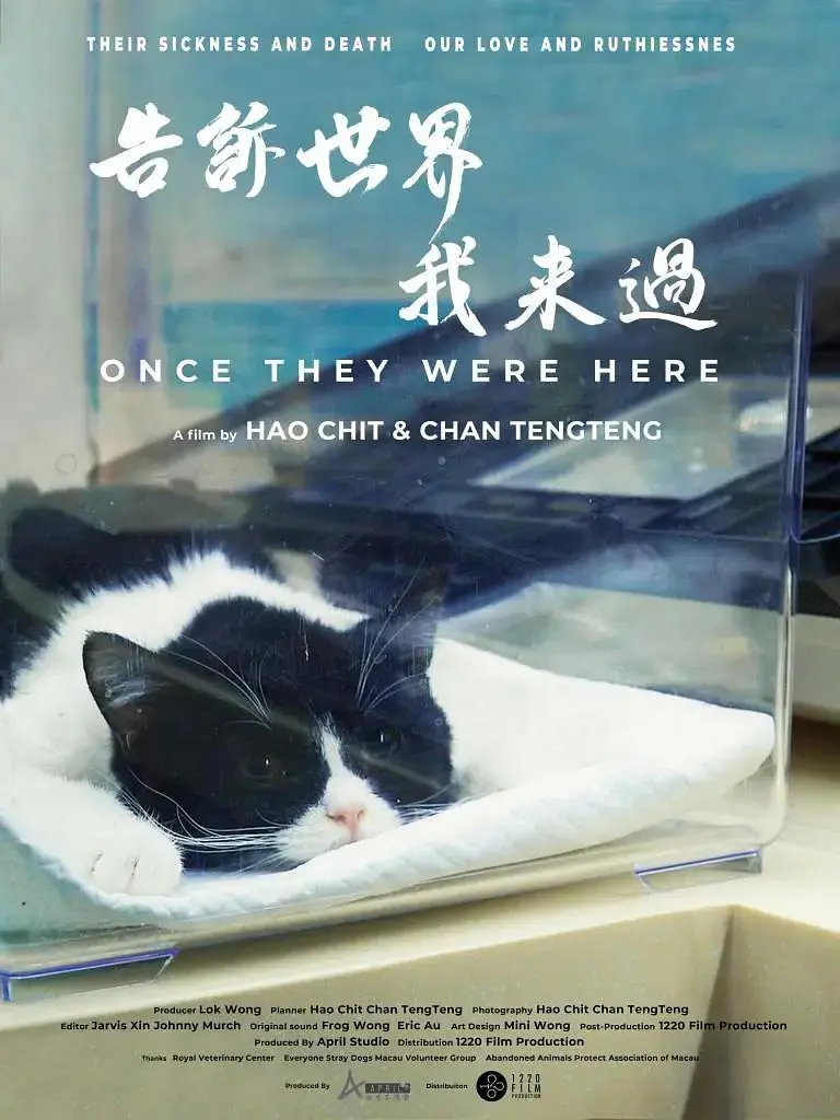 《告诉世界我来过》全集高清完整版在线观看与剧情解析