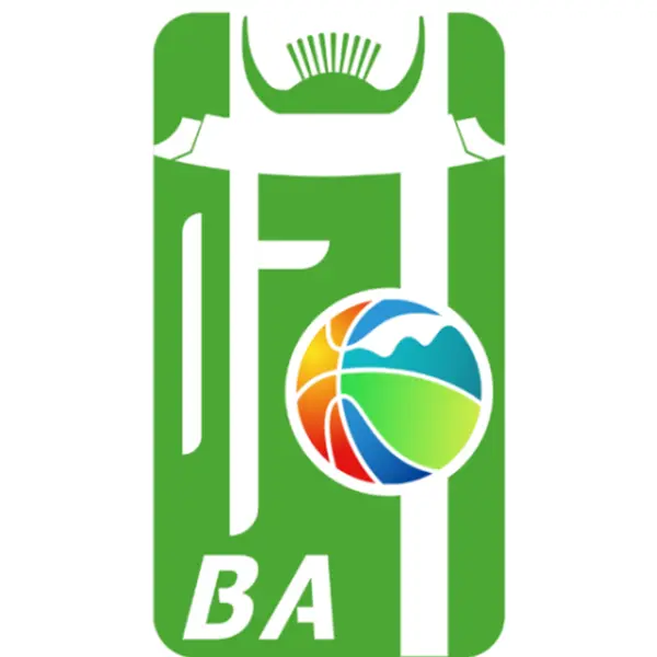 《和美乡村篮球赛 坎市会场20251102》全集高清完整版在线观看与剧情解析