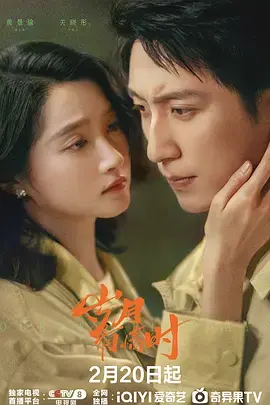 《岁月有情时》全集高清完整版在线观看与剧情解析