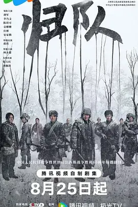 《归队》全集高清完整版在线观看与剧情解析