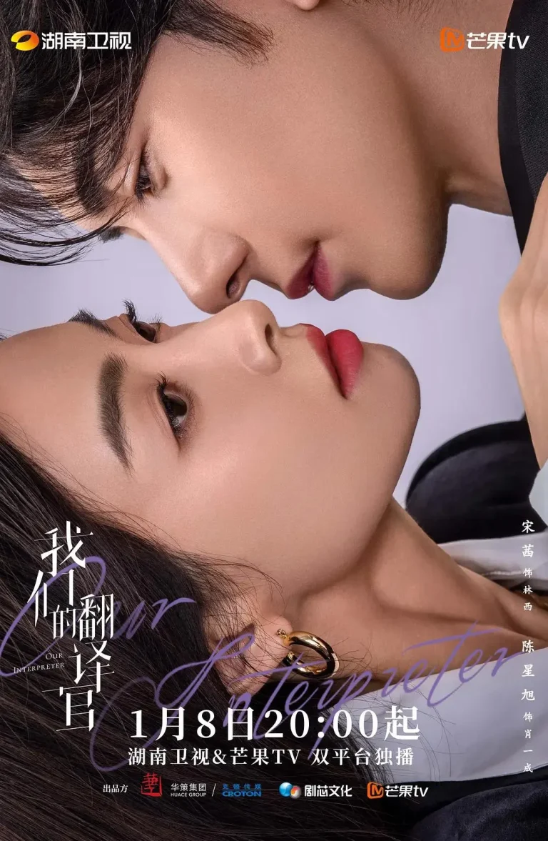 《我们的翻译官》全集高清完整版在线观看与剧情解析