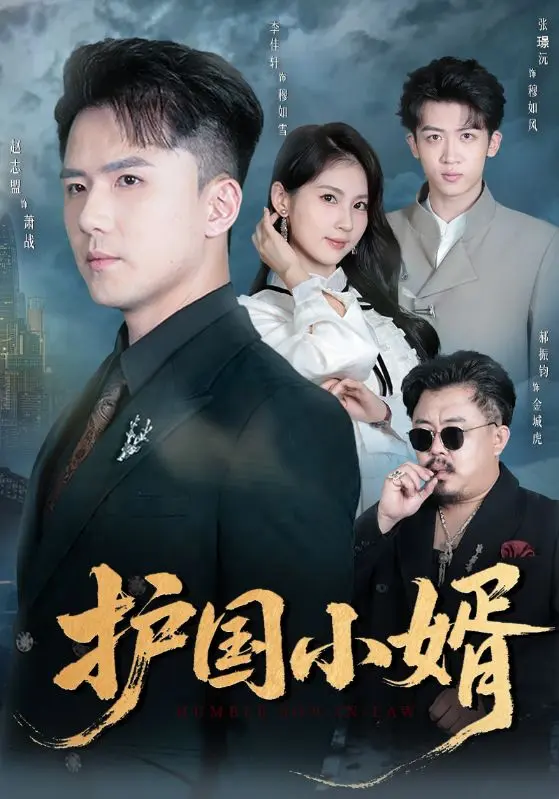 《护国小婿》全集高清完整版在线观看与剧情解析