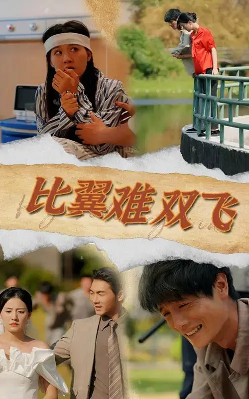 《比翼难双飞》全集高清完整版在线观看与剧情解析