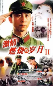 激情燃烧的岁月2