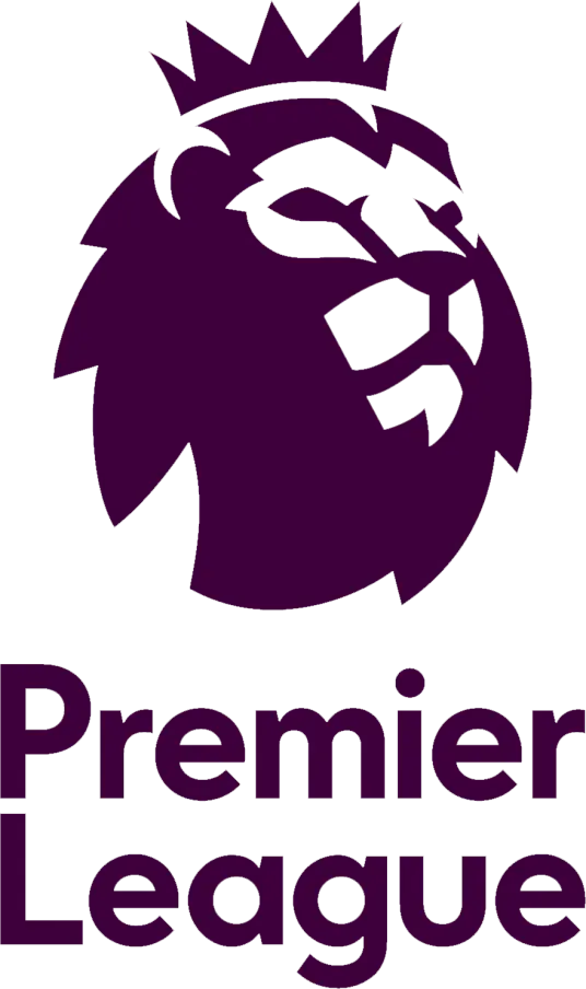 英超 狼队vs伊普斯维奇20241214