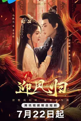 《迎凤归》全集高清完整版在线观看与剧情解析