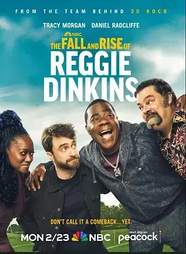 《雷吉·丁金斯的兴衰》全集高清完整版在线观看与剧情解析